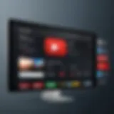 A user interface showcasing a popular YouTube video downloading application.