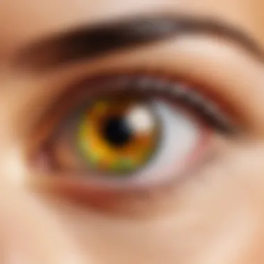 Essential Nutrients for Vision Nutrient-rich multivitamins supporting eye health