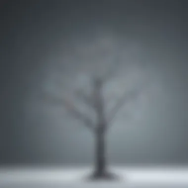 Binary Tree Structure Visualization Binary tree structure visualization