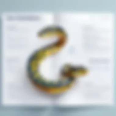 The Importance of Clear Documentation Illustration depicting the importance of clear Python function documentation.