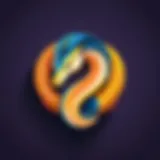 Python logo representation