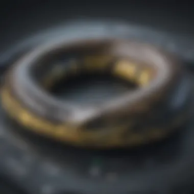 Debate Unveiled Debate Unveiled - Shedding light on the controversial topic of anacondas in Australia