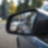 Reflection of police car in side mirror