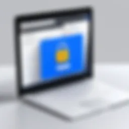 Digital Privacy Protection Concept