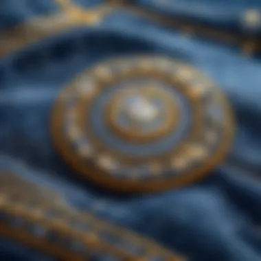 Sophisticated Denim Elegance Elegant Denim Jeans with Intricate Embroidery