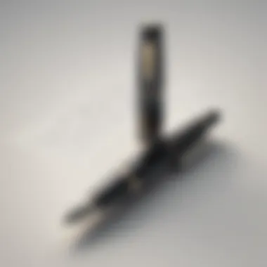 Elegant fountain pen signifying writing elegance