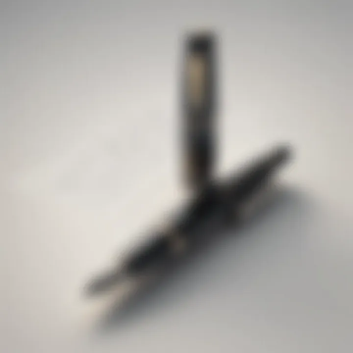 Elegant fountain pen signifying writing elegance