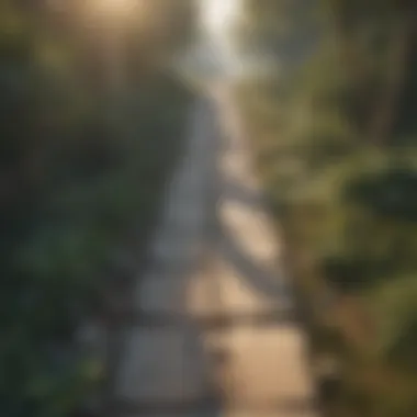 Journey to Awareness Enlightenment Path