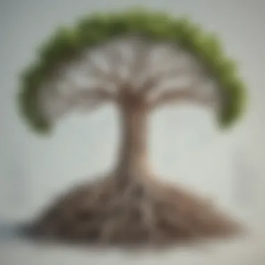 Illustration of a tree representing the hierarchical nature of data structures