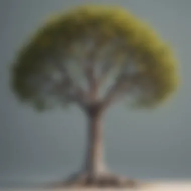 Optimizing Binary Search Trees Binary Search Tree Balancing Techniques