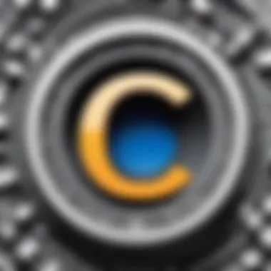 C# Application with SQL Data Retrieval A practical example of a C# application retrieving data from a SQL database, highlighting key operations.