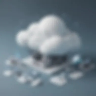 Pioneering Cloud Service Providers Pioneering Cloud Service Providers