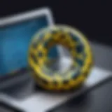 Visual representation of Python code in a web development environment