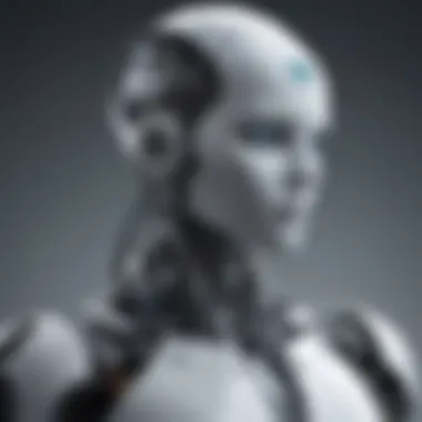 Unveiling the Future of RPA Industry Future outlook in Robotic Process Automation