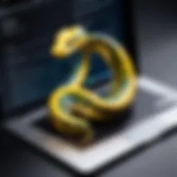 Python installation on macOS