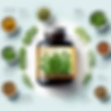 Herbal Solutions for Type 2 Diabetes Herbal alternatives for diabetes management