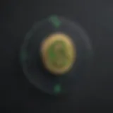 Innovative Earnings Strategy on Cash App