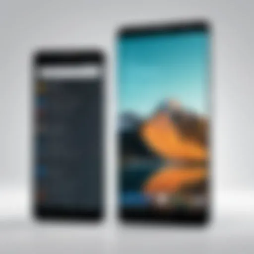 Android screens showcasing mirror functionality