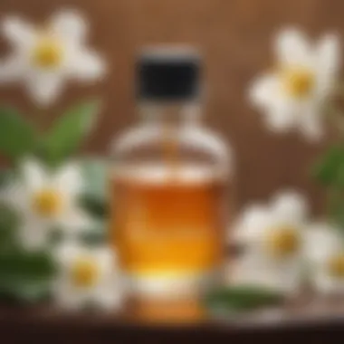 Nectar of Relief Nectar of Relief
