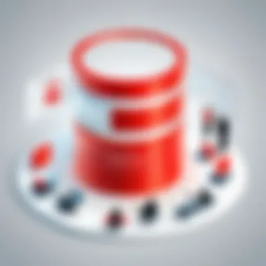 Developers Leveraging Oracle Database Visual representation of developers utilizing Oracle Database