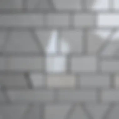 Prism Gray Grout Seamless Installation Tips