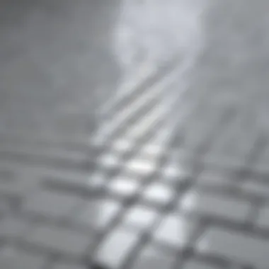 Prism Gray Grout Versatile Uses