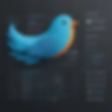 Visualization of Twitter Profile Customization Options