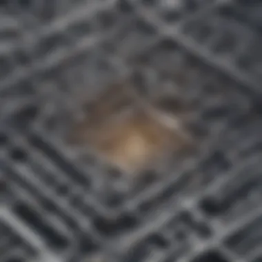 Navigating the Proxy Labyrinth Illustration depicting a maze symbolizing anonymity and complexity