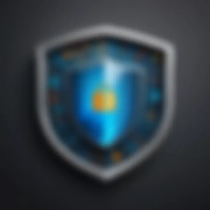 Data protection shield