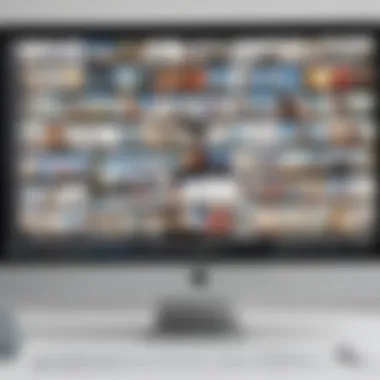 Digital Photo Library Organization Organized digital photo library on a computer screen