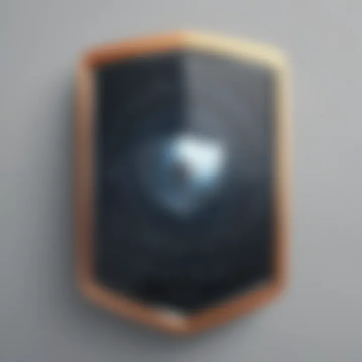 Safety and security shield icon