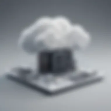 Private Cloud Computing Structure Schematic diagram showcasing private cloud computing