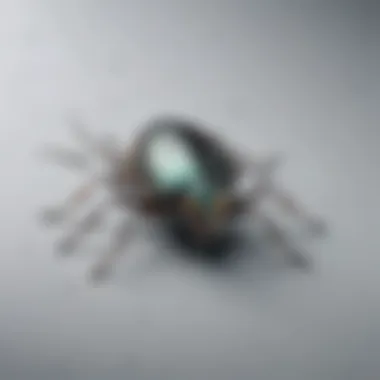 Achieving Perfection: Seamless Bug Resolution Seamless Bug Resolution