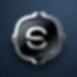 Selenium logo representing automated testing