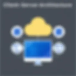 Conceptual diagram of client-server architecture showing interactions