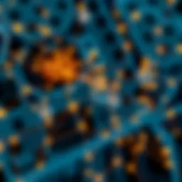 Conceptual representation of neural networks