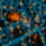 Exploring Neural Networks in Deep Learning Conceptual representation of neural networks