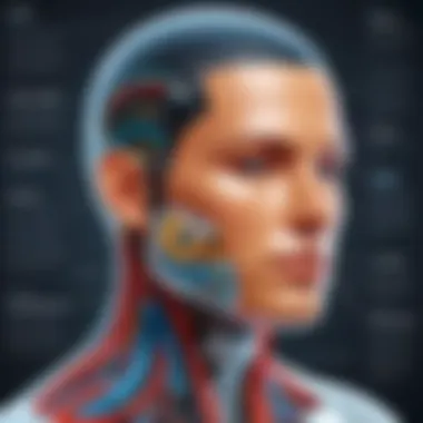 Head and Body Sections Annotated diagram showcasing head and body sections