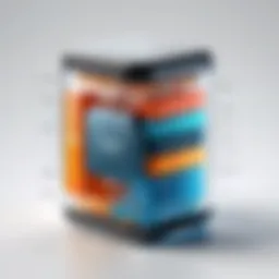 Conceptual representation of encapsulation in OOP