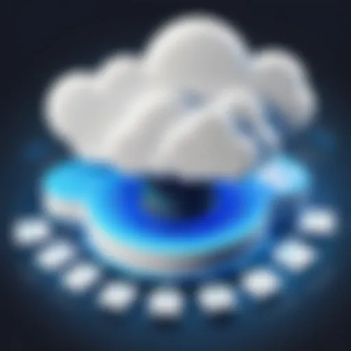 Conceptual diagram showcasing the PaaS model in cloud computing