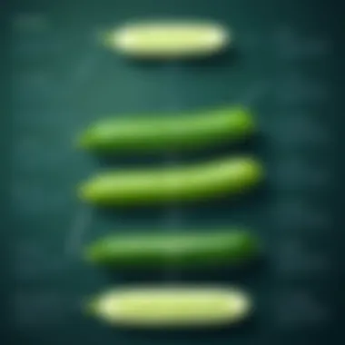 Integration of Cucumber with Programming Languages Flowchart illustrating integration of Cucumber with programming languages