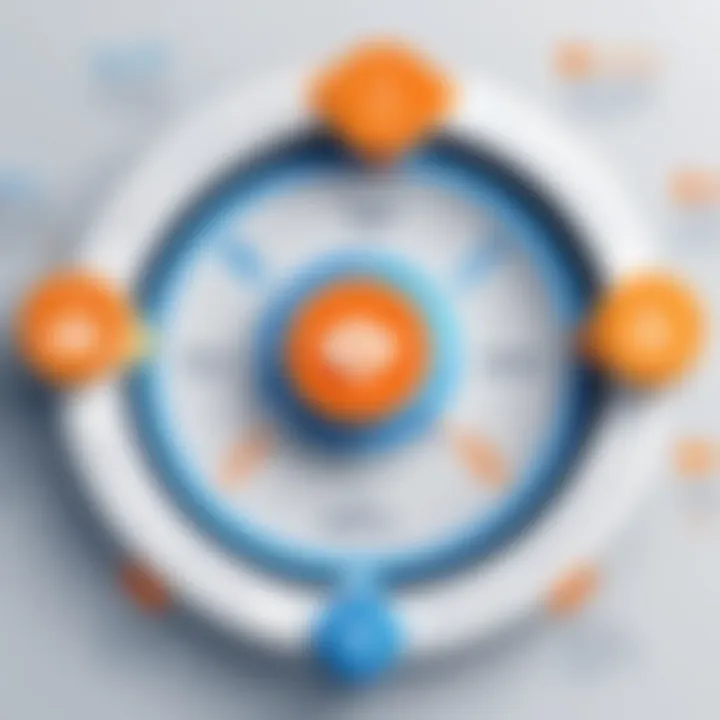 Visual representation of the RPA life cycle stages