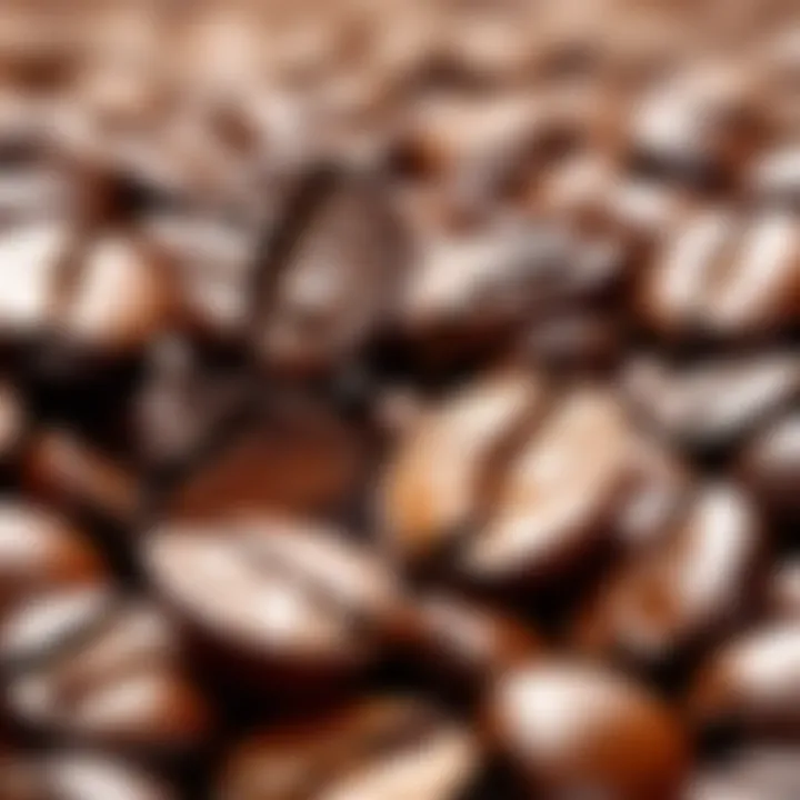 Coffee beans close-up with rich texture