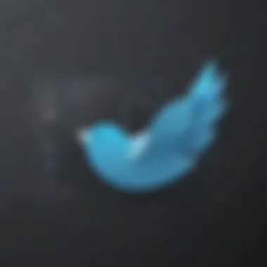 Crafting a Distinctive Username on Twitter Illustration of Unique Twitter Username Creation