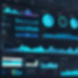 A dynamic dashboard showcasing data analytics
