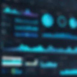 A dynamic dashboard showcasing data analytics